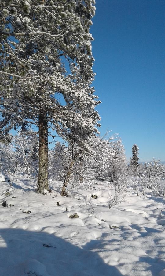 Дома для отпуска Apartment Seita Леви-28